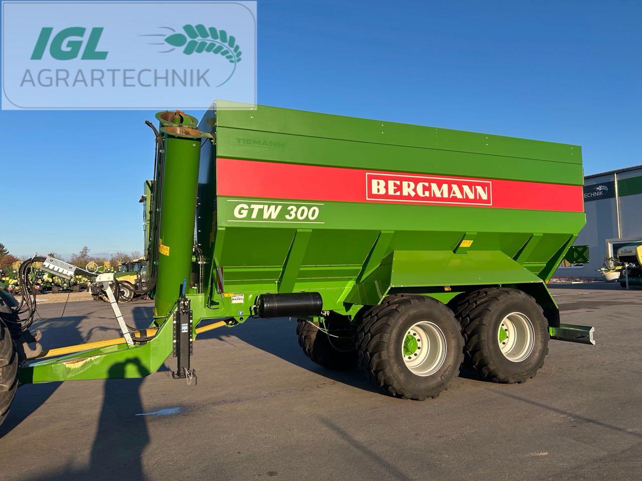 Bergmann GTW 300