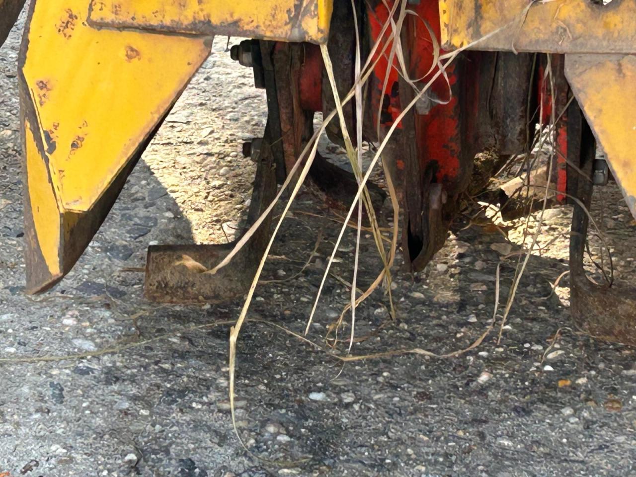 Sonstige breviglieri 7 Reihig Front